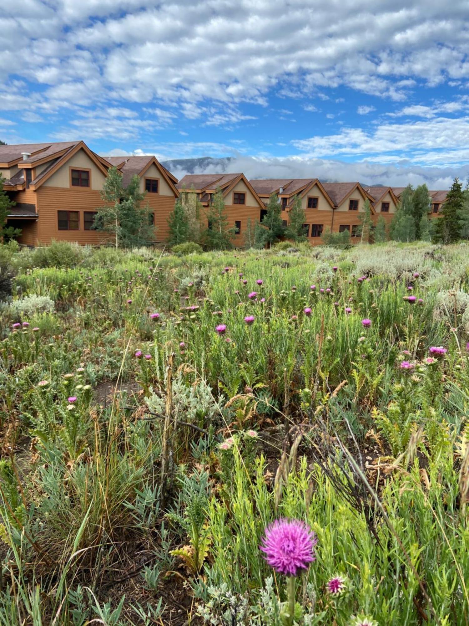 Antlers Gulch 303 By Summitcove Lodging Keystone Zewnętrze zdjęcie